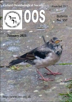 January 2021 cover
