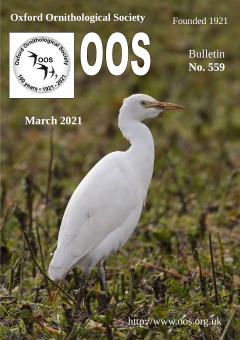 March 2021 cover