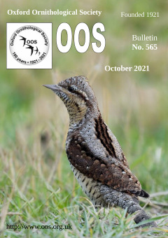 October 2021 cover