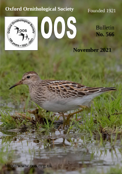 November 2021 cover