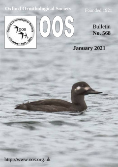 January 2022 cover