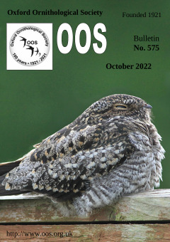 October 2022 cover
