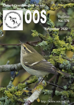 November 2022 cover