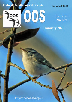 January 2023 cover