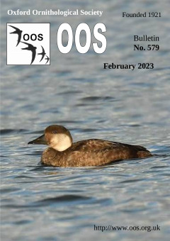 February 2023 cover