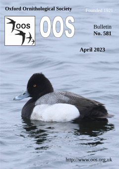 April 2023 cover