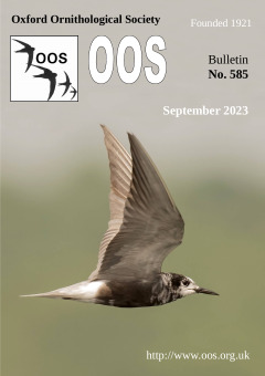 September 2023 cover