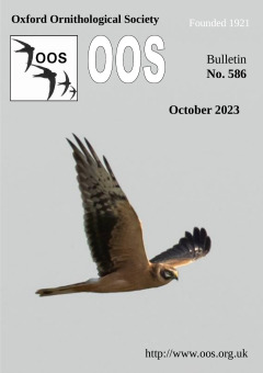 October 2023 cover