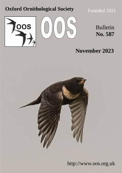 November 2023 cover