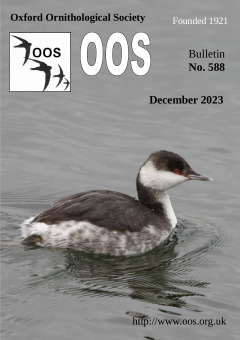 December 2023 cover