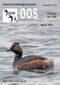April 2024 cover