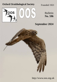 September 2024 cover