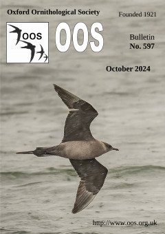 October 2024 cover