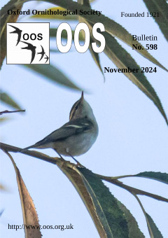 November 2024 cover