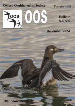 December 2024 cover