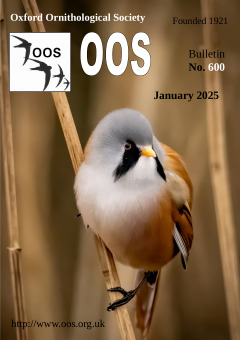 January 2025 cover