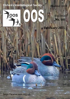 February 2025 cover