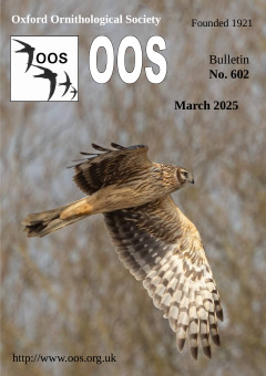 March 2025 cover