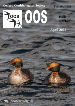 April 2025 cover