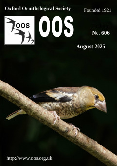 August 2025 cover