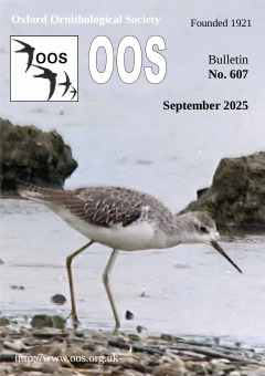 September 2025 cover