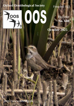 October 2025 cover