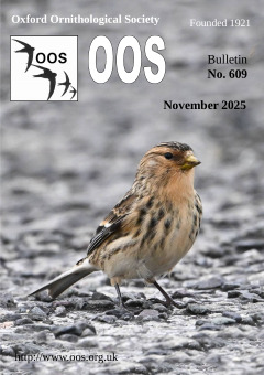 November 2025 cover