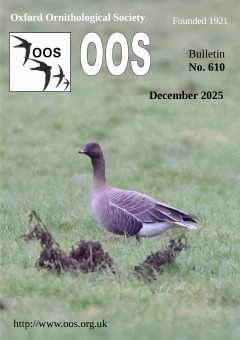 December 2025 cover