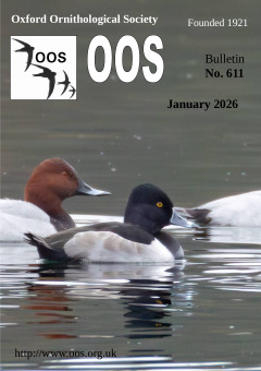 January 2026 cover