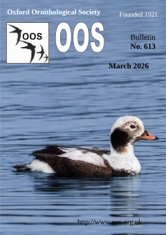 March 2026 cover