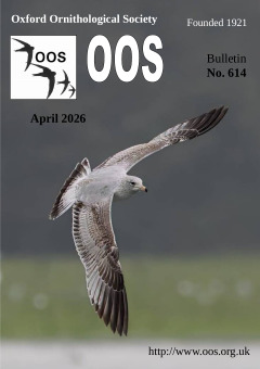 April 2026 cover