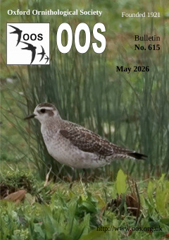 May 2026 cover