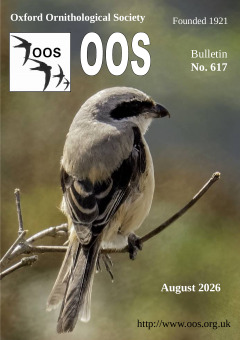 Latest OOS bulletin cover, August 2026