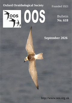 September 2026 cover